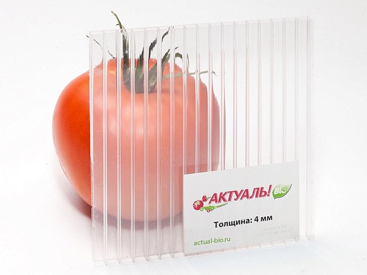 Сотовый поликарбонат ACTUAL  BIO 4 мм  прозрачный